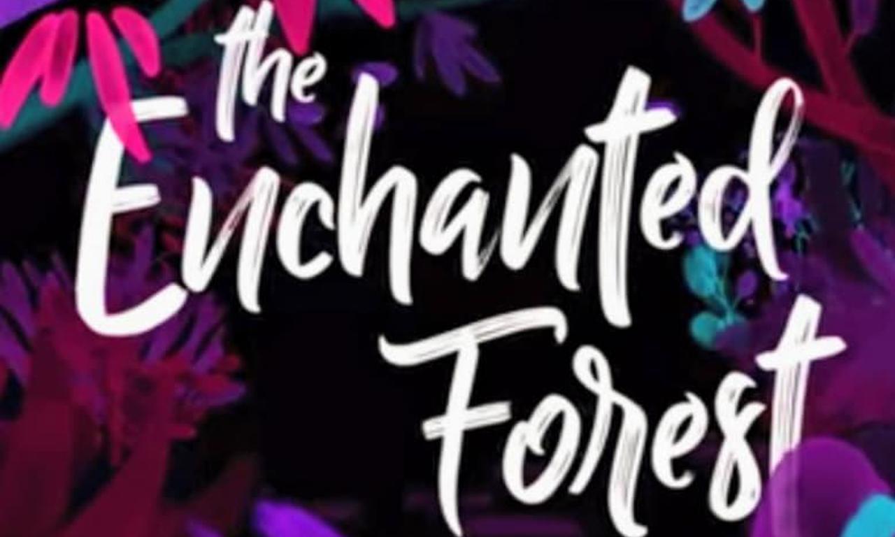 header image for The Enchanted Forest