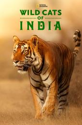 Wild Cats of India