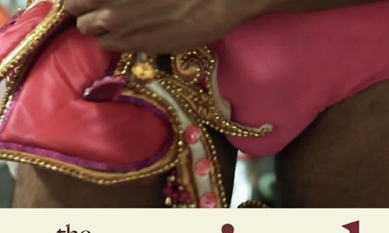 header image for The Carnival