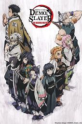 Demon Slayer: Kimetsu no Yaiba the Hashira Meeting Arc