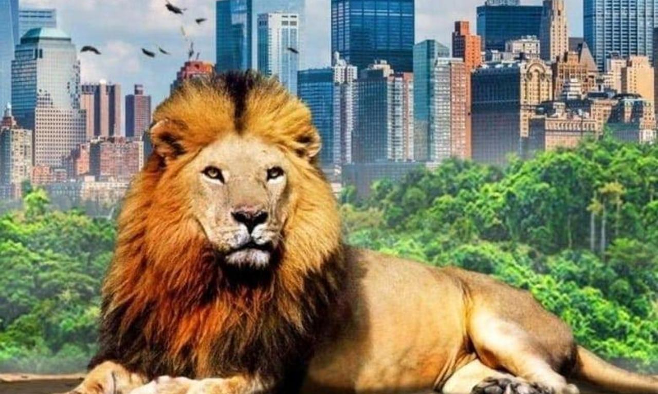 header image for Our Nature
