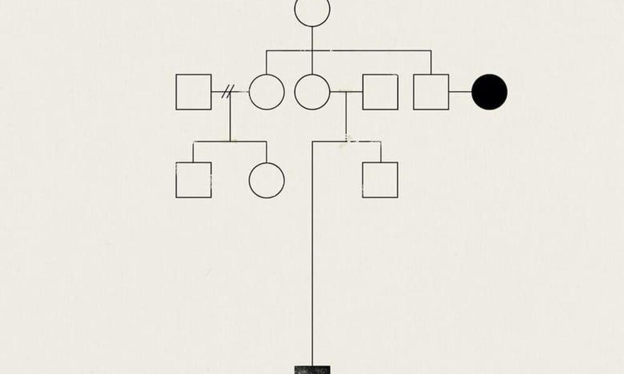 header image for Holiday