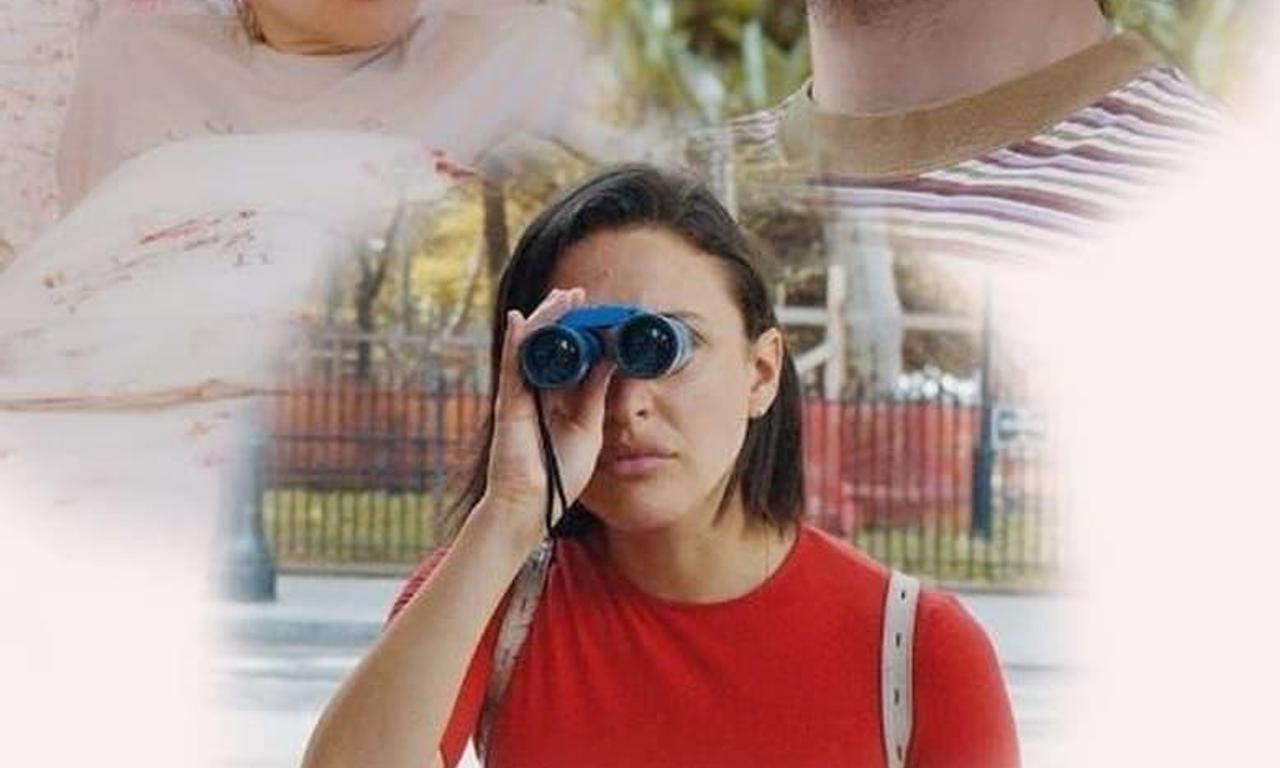 header image for Romance Analyst