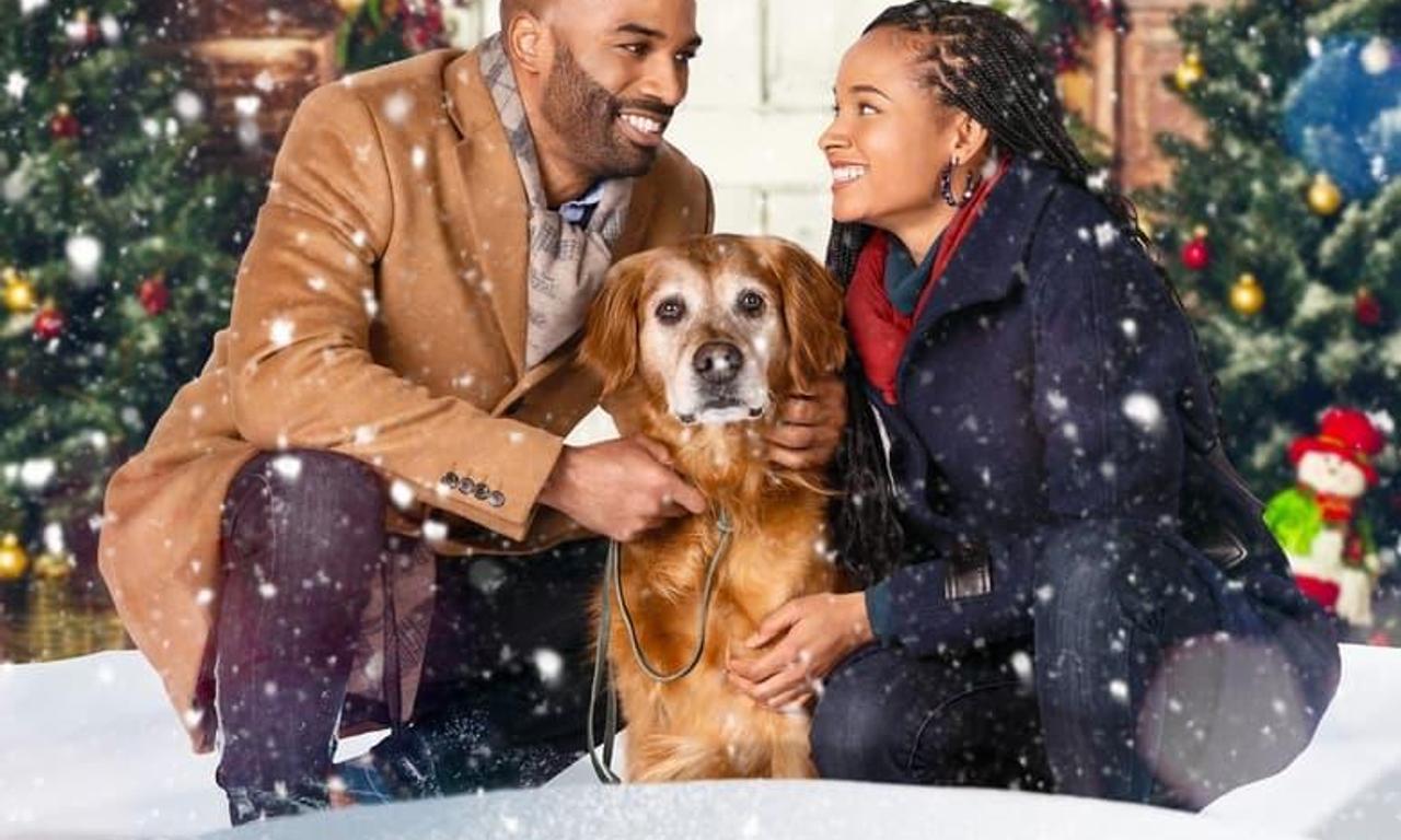 header image for A Christmas Stray