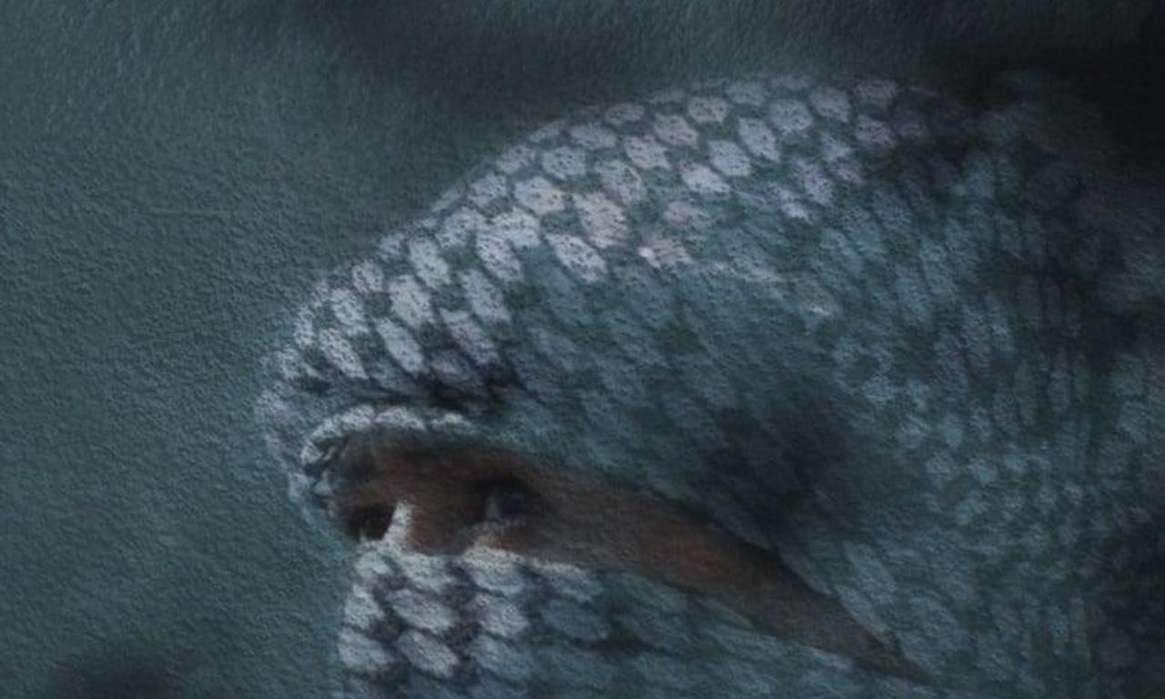 header image for Homeland Gone