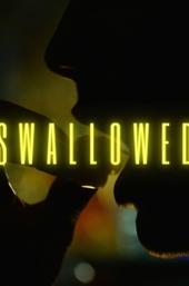 Swallowed