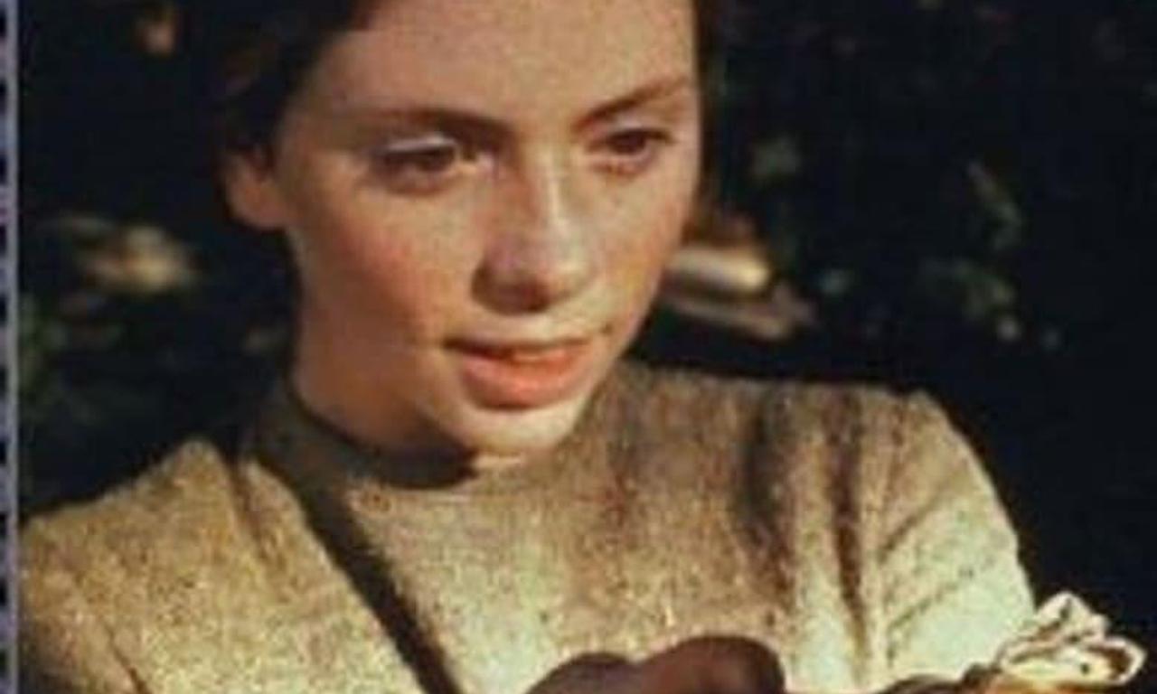 A Girl Of The Limberlost Where To Watch And Stream Online A Girl Of The Limberlost Where To Watch And Stream Online