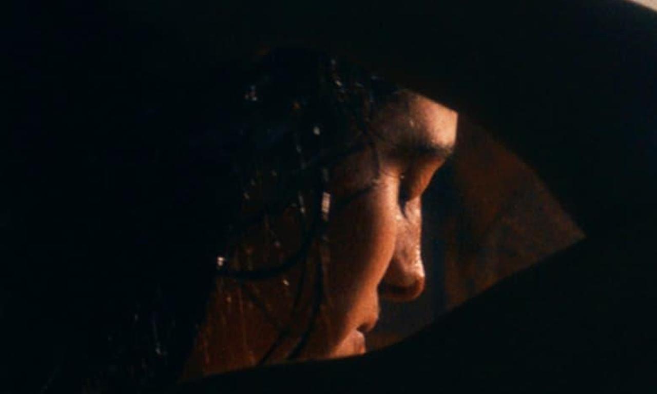 header image for Shakira