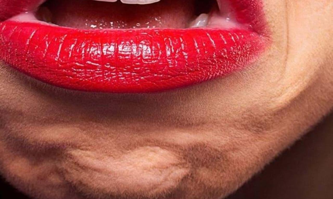 header image for Haters Back Off