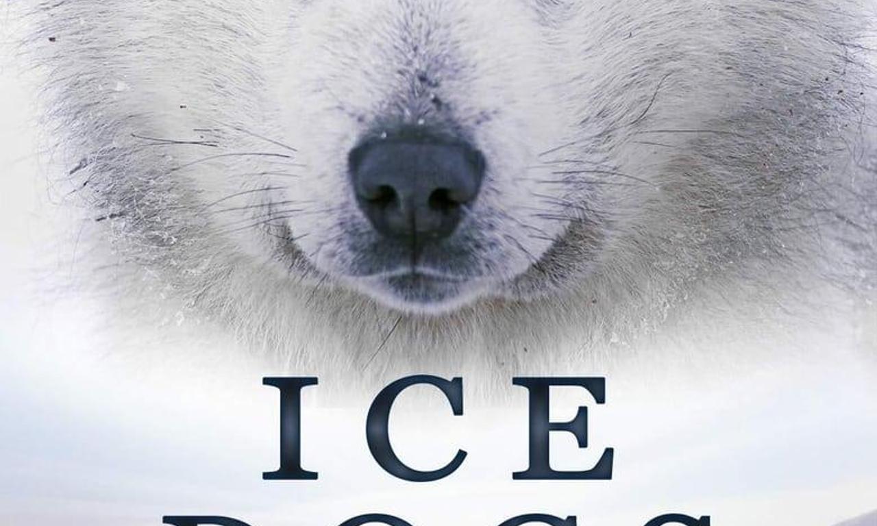header image for Ice Dogs: The Only Companions Worth Having