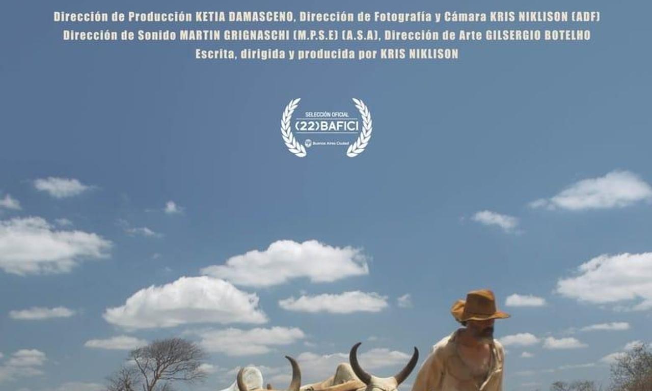 header image for Dogs