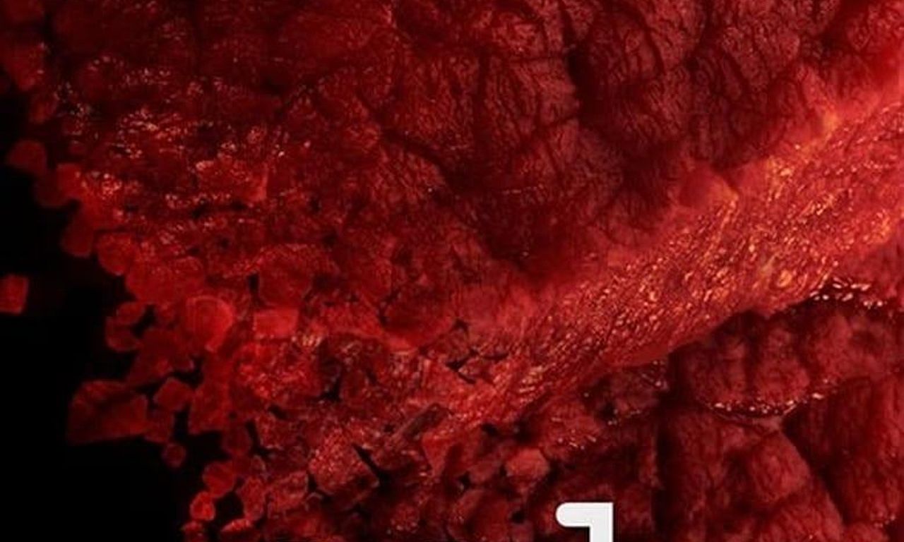 header image for Salt