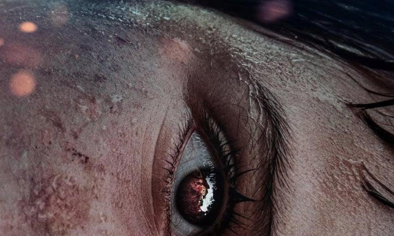 header image for Prayers for the Stolen