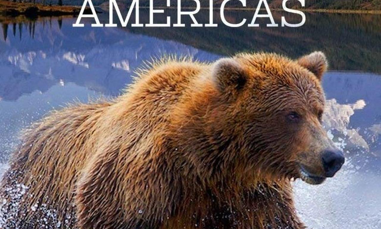 header image for Untamed Americas