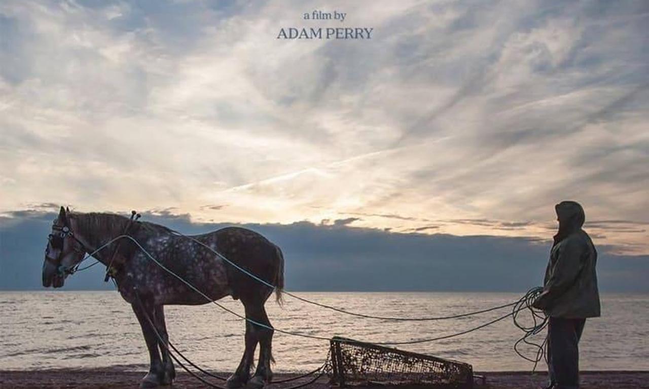 header image for A Small Fortune