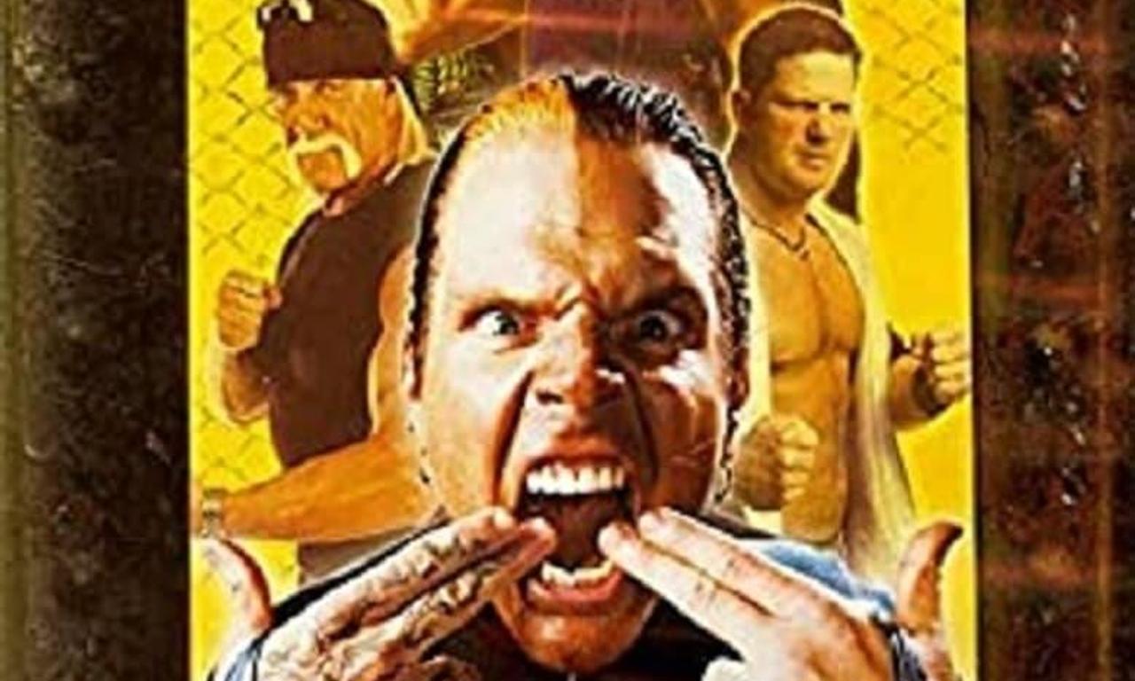 header image for TNA Lockdown 2010