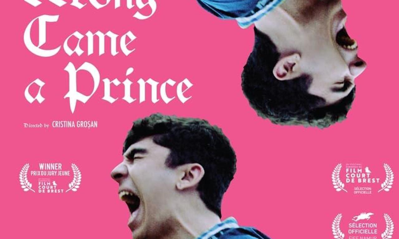header image for Along Came a Prince