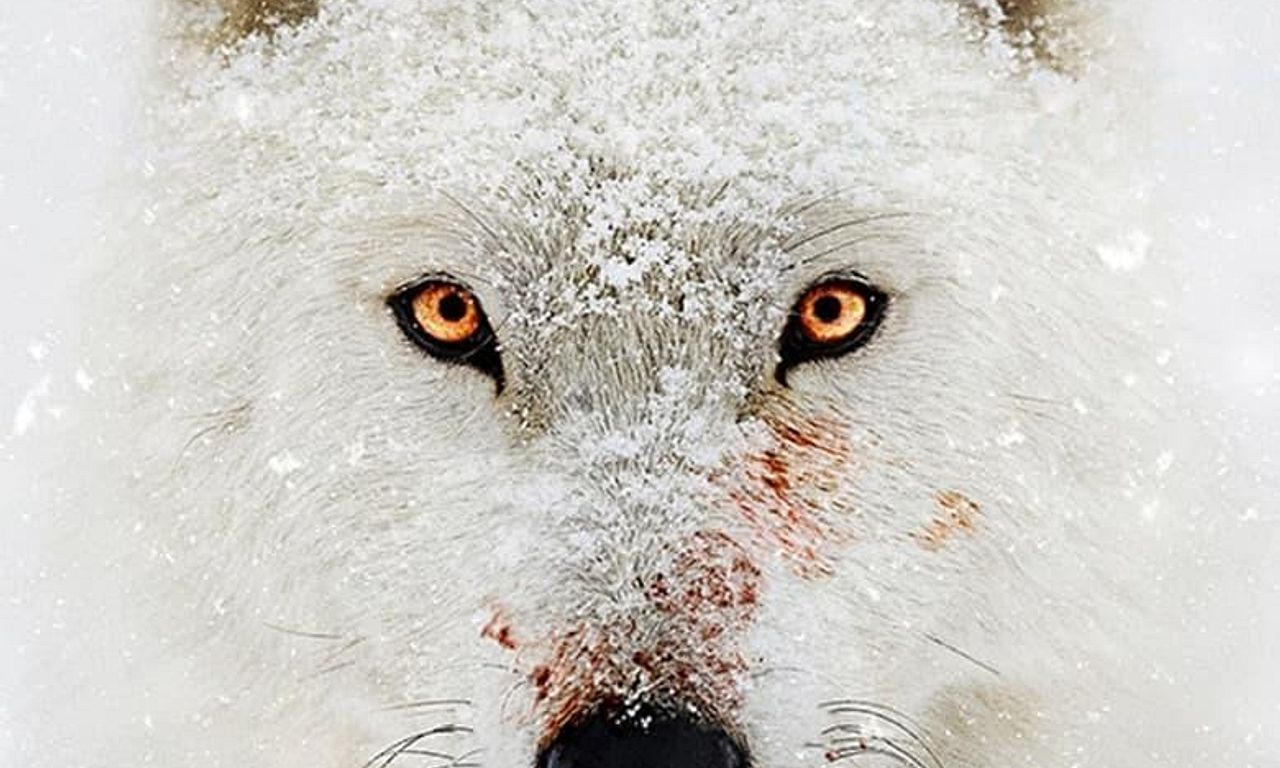 header image for Hostile Planet