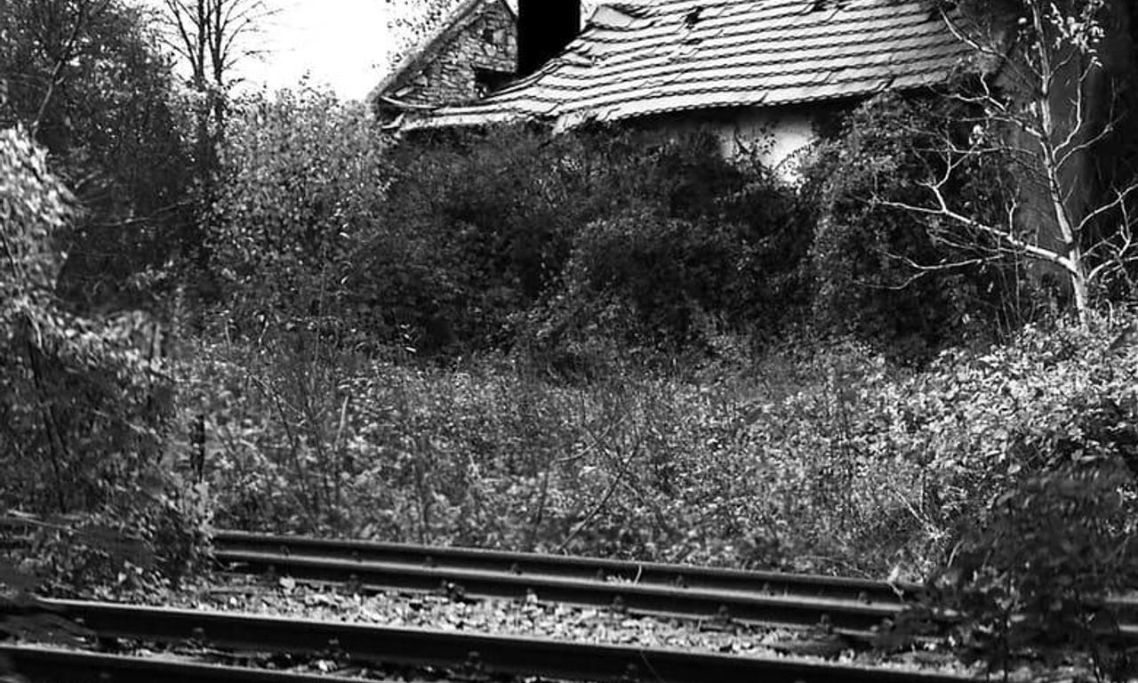 header image for Y