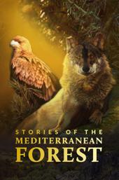 Stories of the Mediterranean Forest