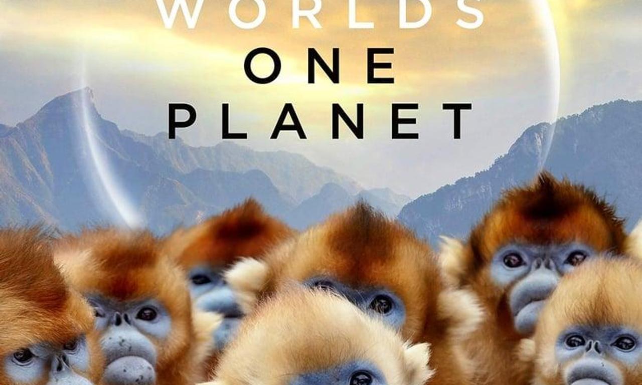 header image for Seven Worlds, One Planet