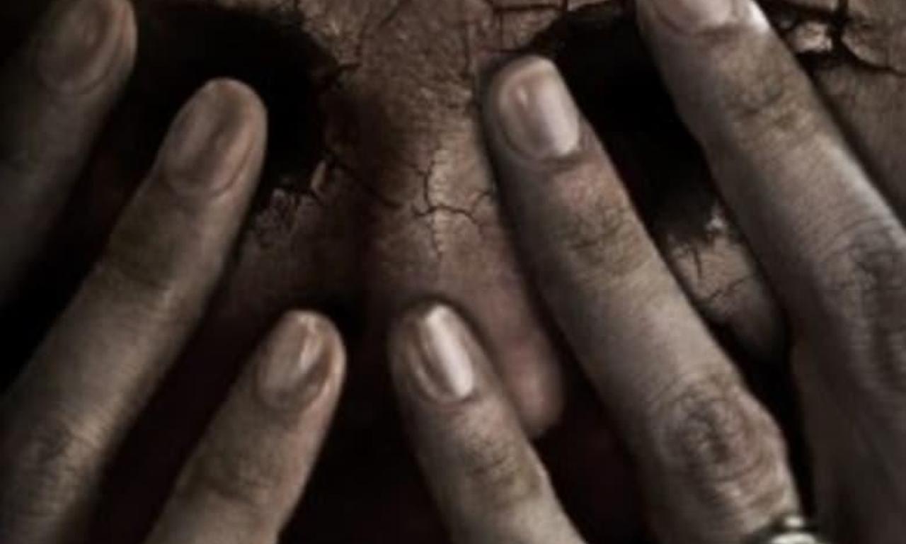 header image for Trip