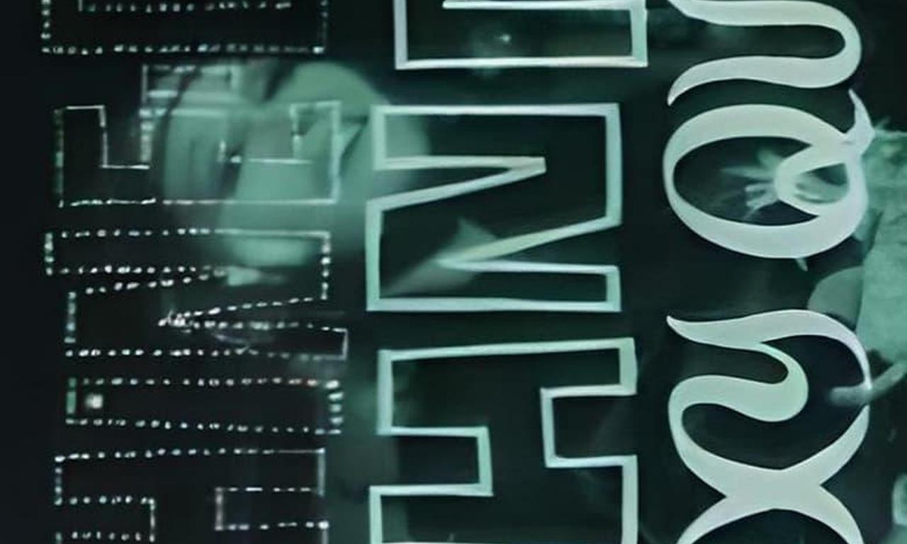 Machine Gun Johnny and the Sexy Queen Where to Watch and Stream Online Entertainment.ie