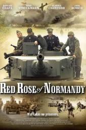 Red Rose of Normandy