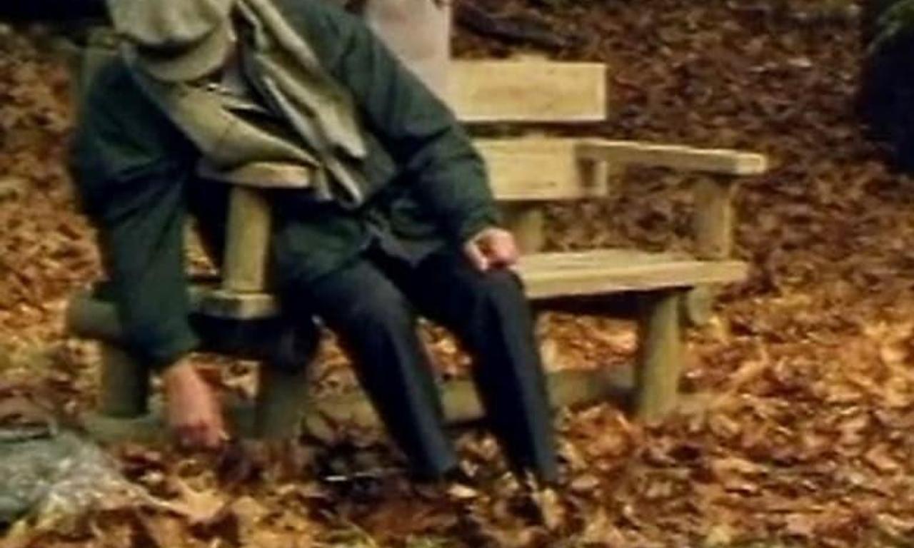 header image for See No Evil