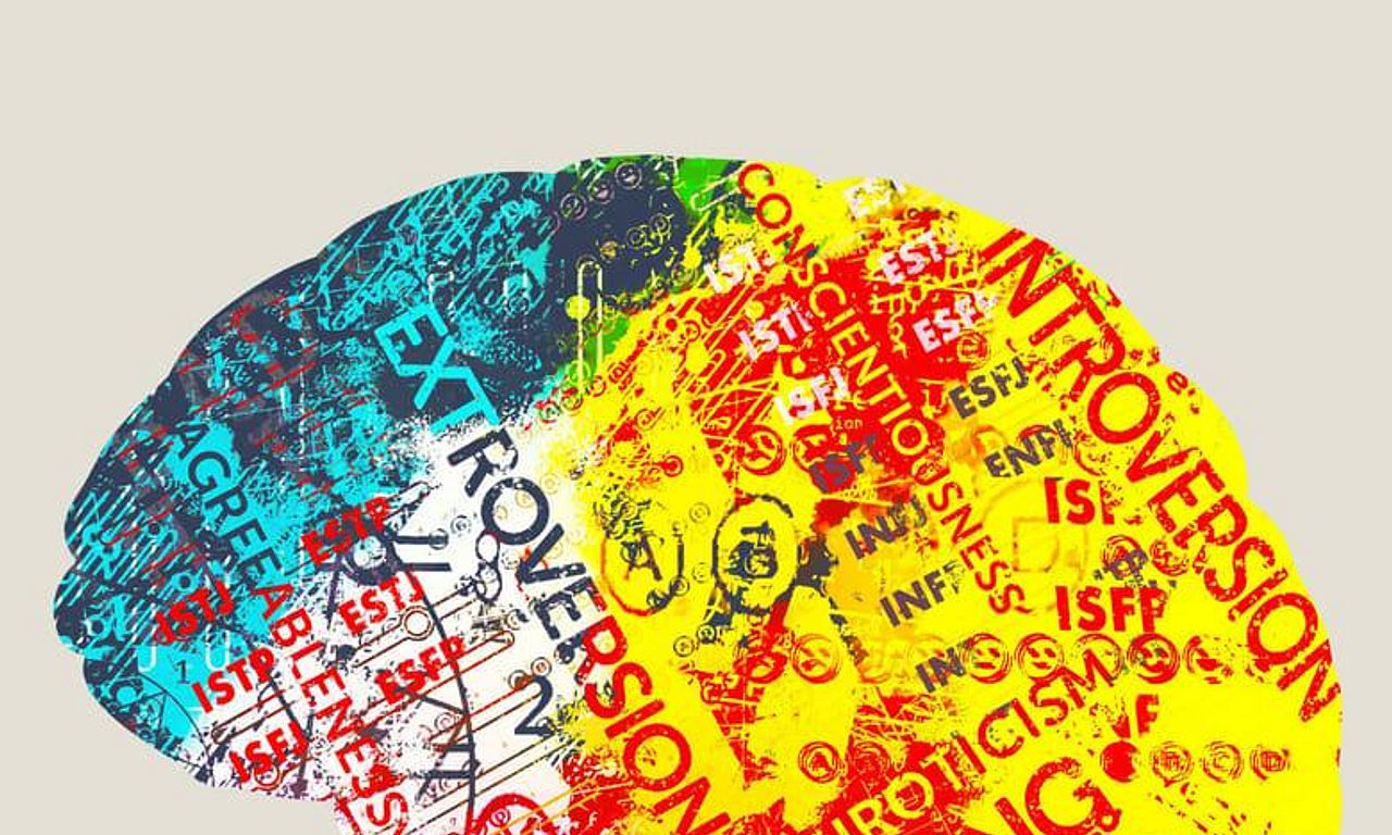 header image for Persona: The Dark Truth Behind Personality Tests