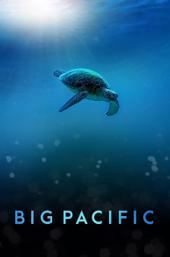Big Pacific