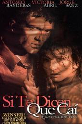 If They Tell You That I Fell