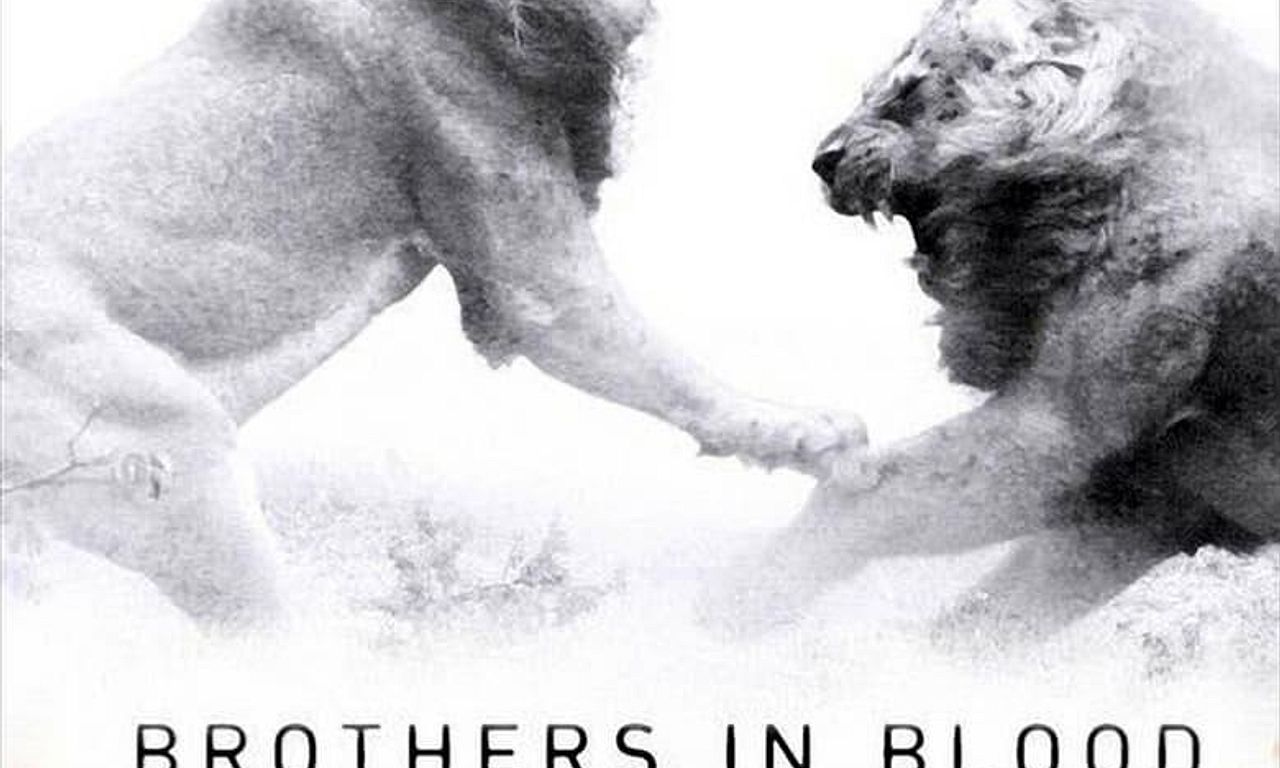 Watch Brothers In Blood The Lions Of Sabi Sand Brothers in Blood: The Lions of Sabi Sand - Where to Watch and Stream