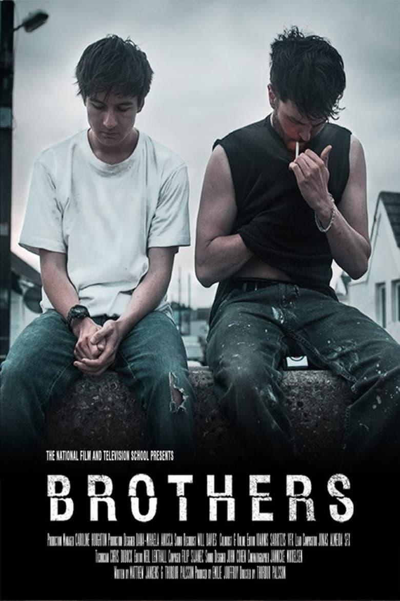 Brothers & Sisters - streaming tv show online