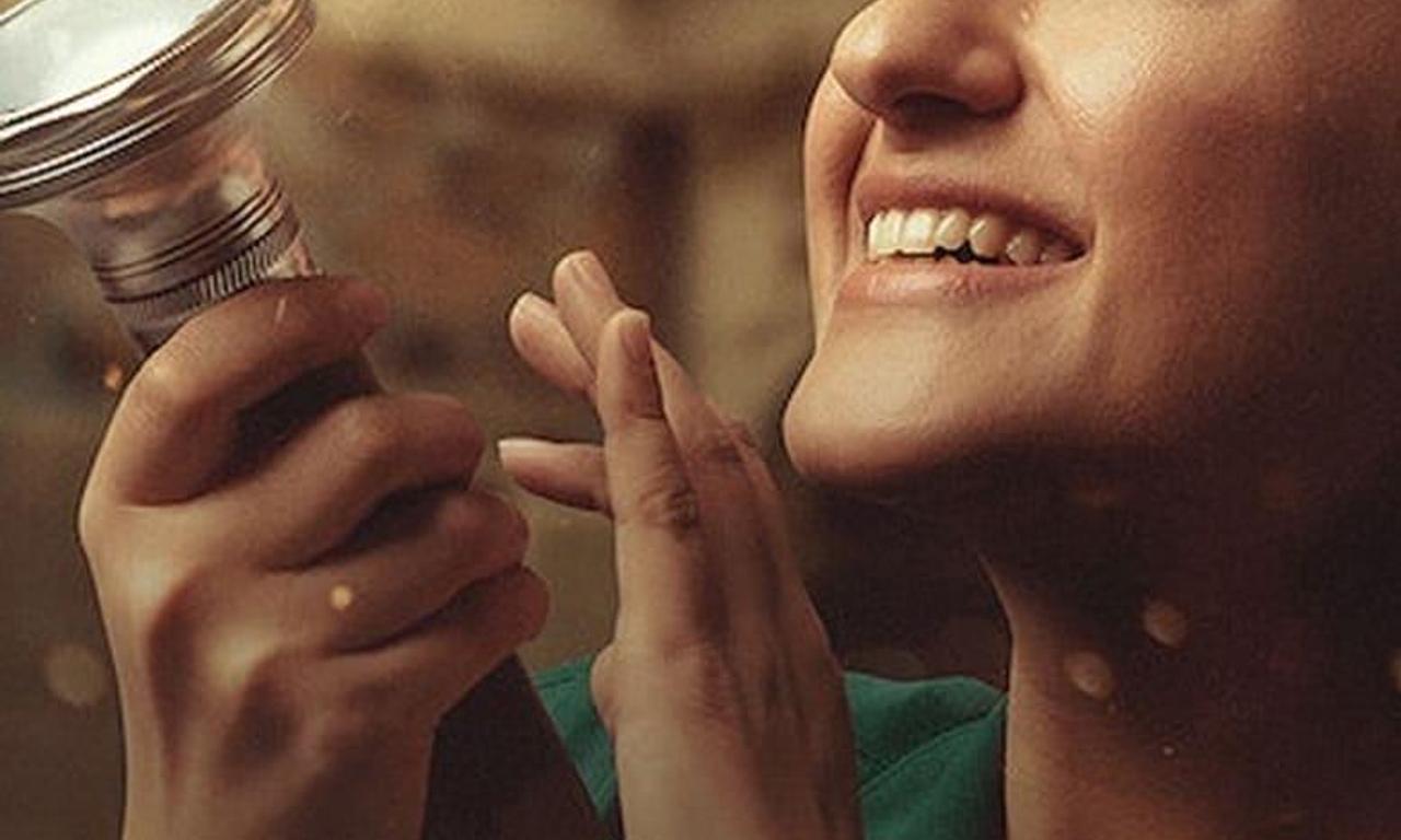 header image for Have You Ever Seen Fireflies?