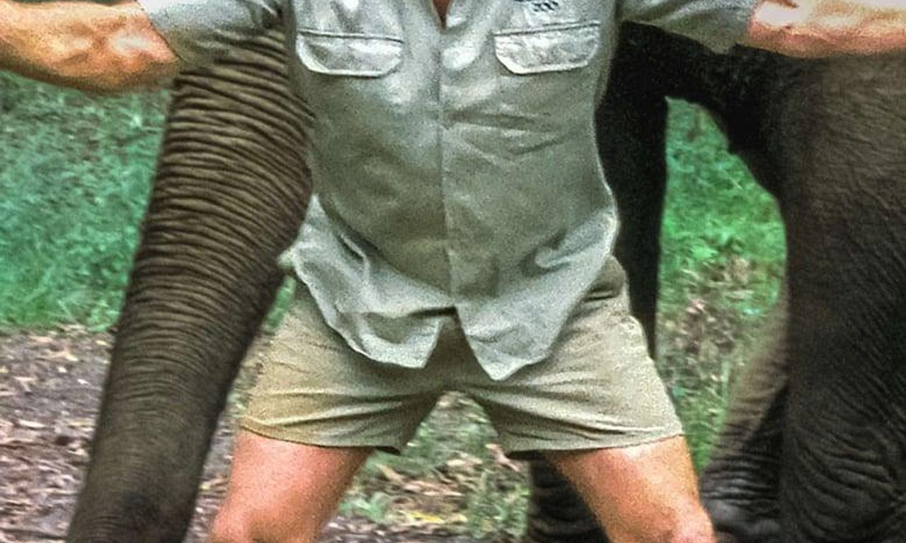 header image for The Steve Irwin Story