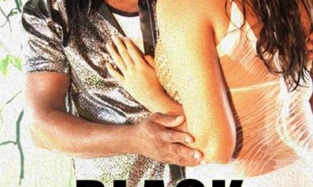 header image for Black Stallion