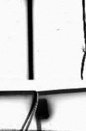 Structural Filmwaste. Dissolution 1