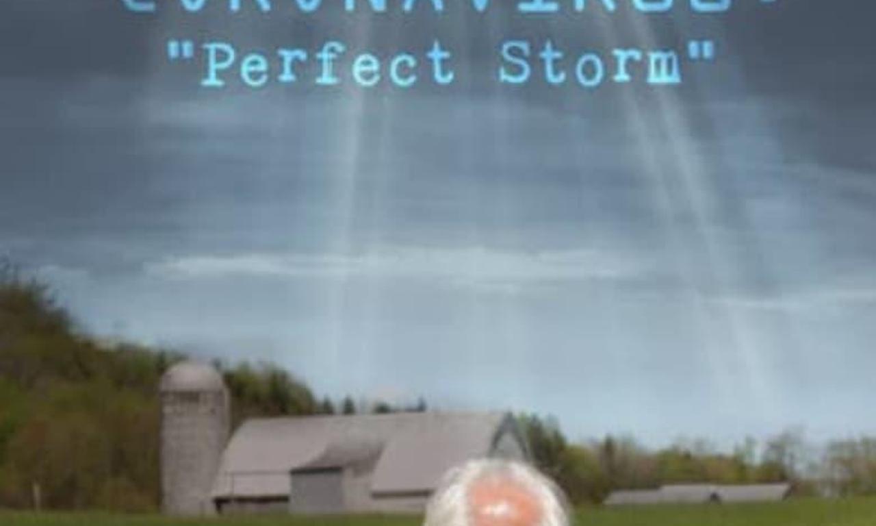 header image for Coronavirus: Perfect Storm