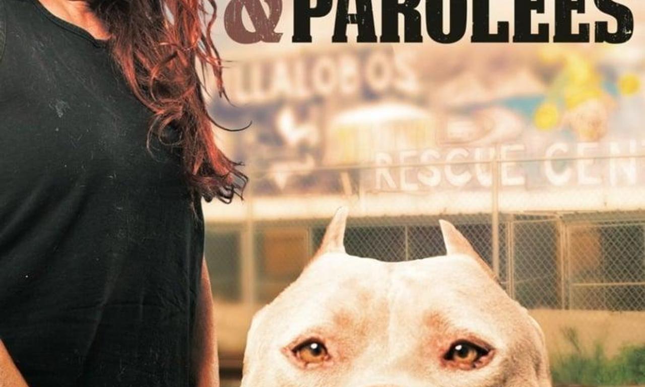 header image for Pit Bulls and Parolees
