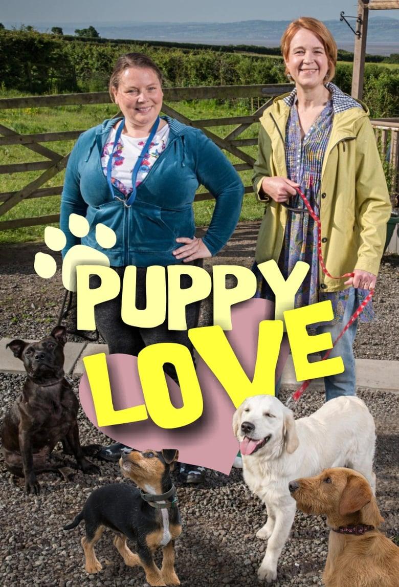 How to watch and stream Puppy Love - 2012 on Roku