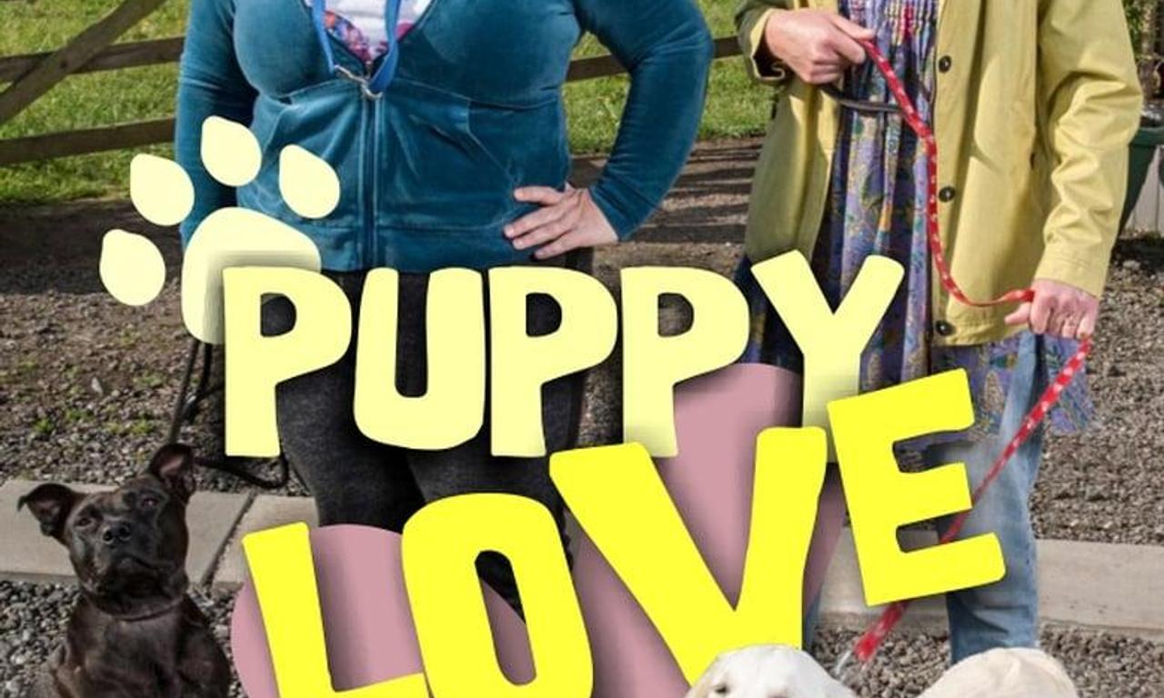 Puppy Love Where to Watch and Stream Online Entertainment.ie