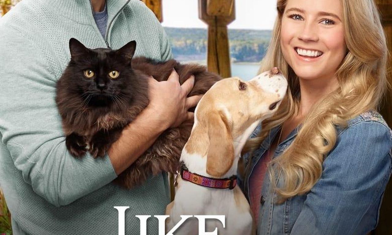 header image for Like Cats & Dogs