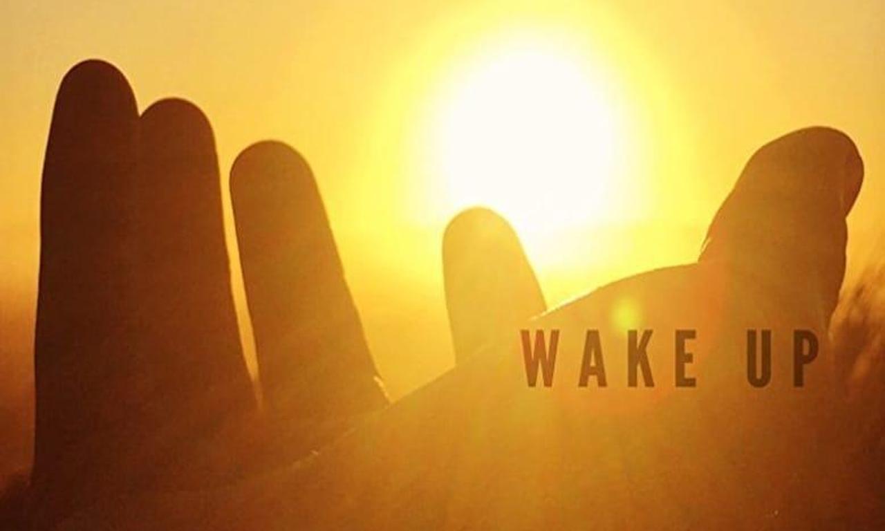 header image for Panacea