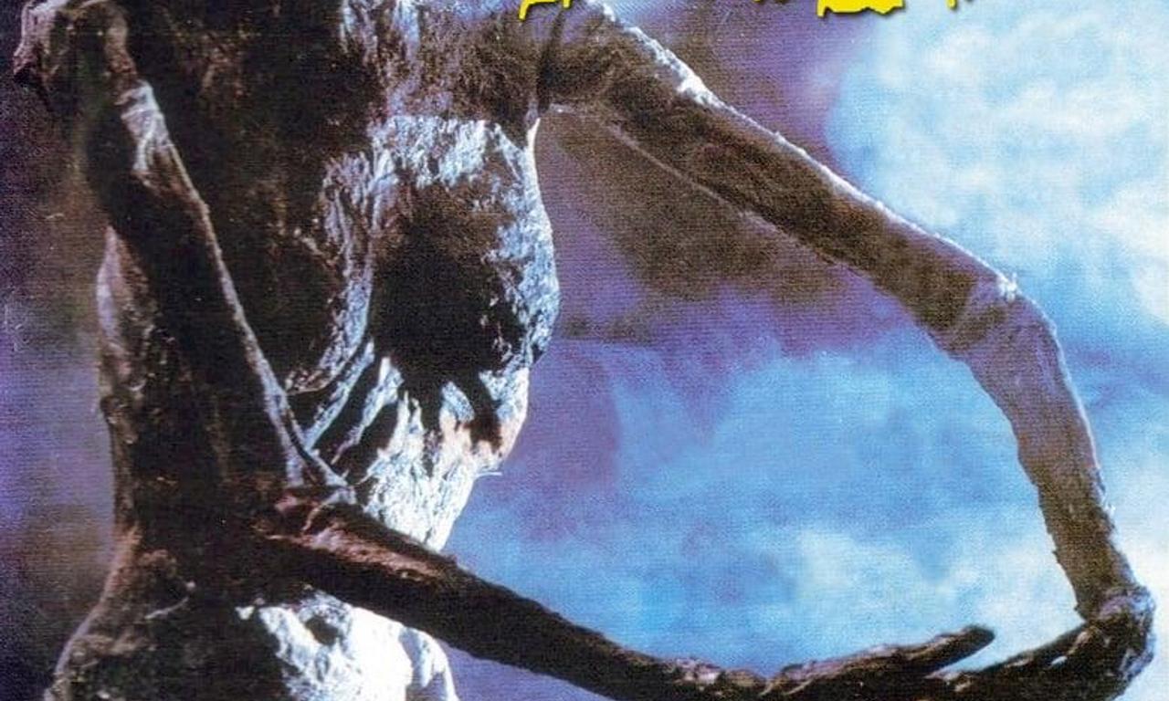 header image for Seeding of a Ghost