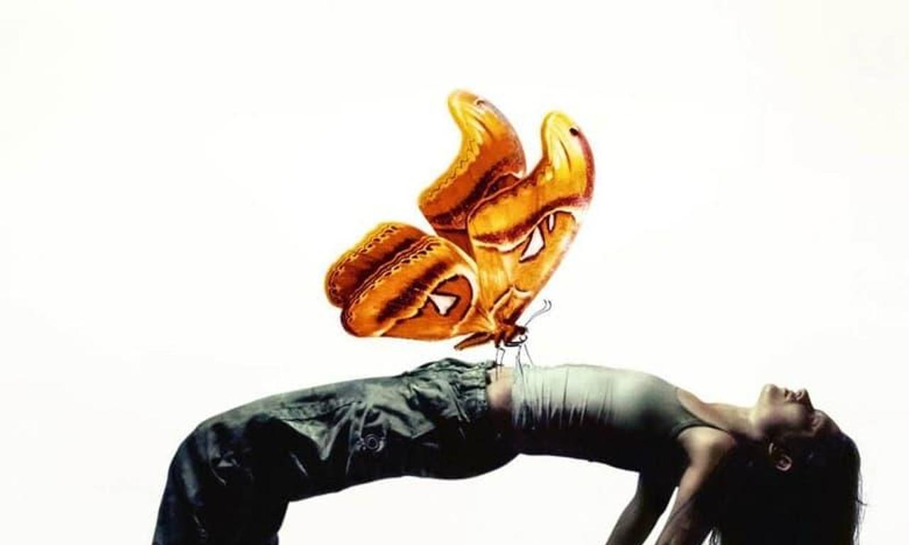 header image for Butterfly Vision