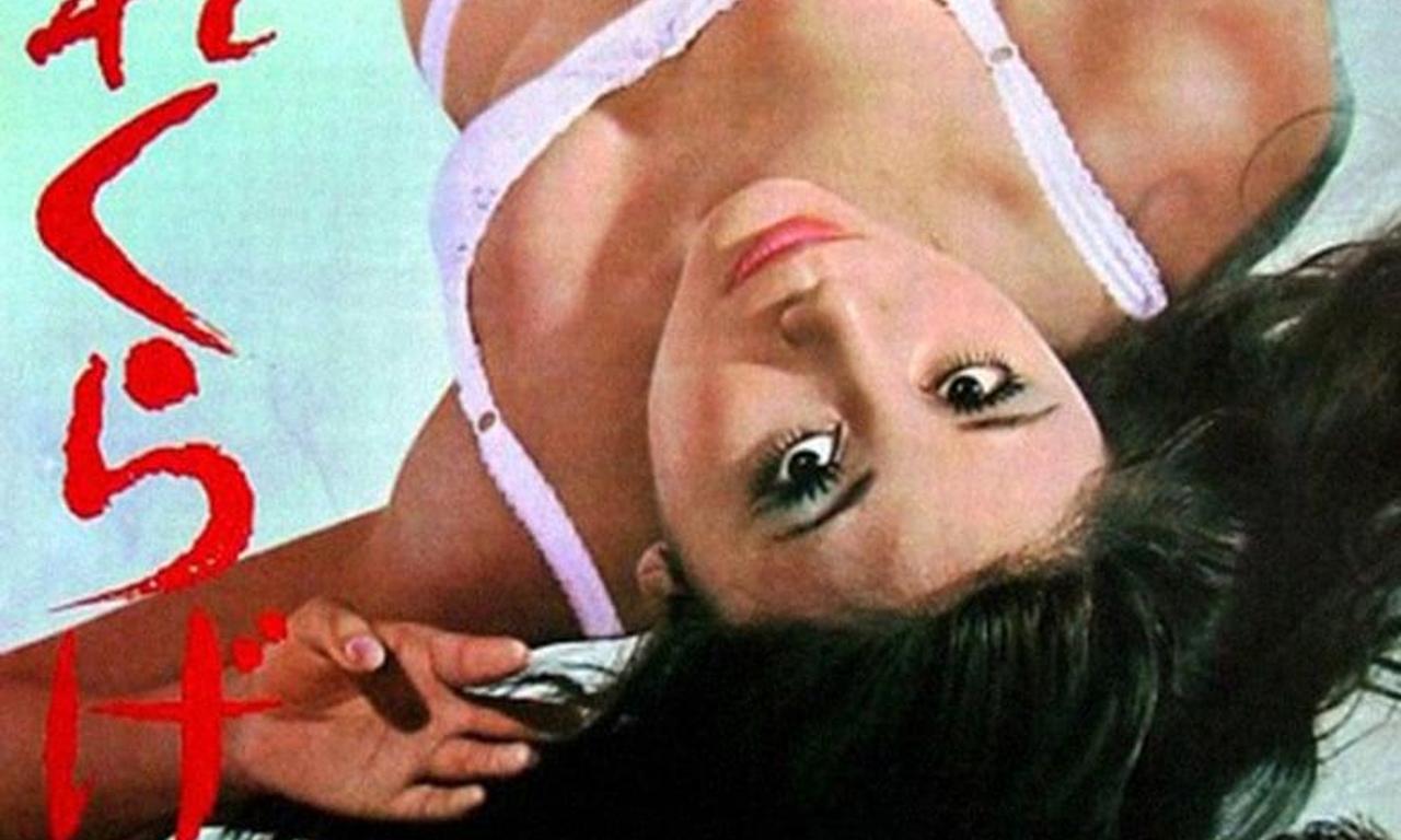 header image for The Hot Little Girl