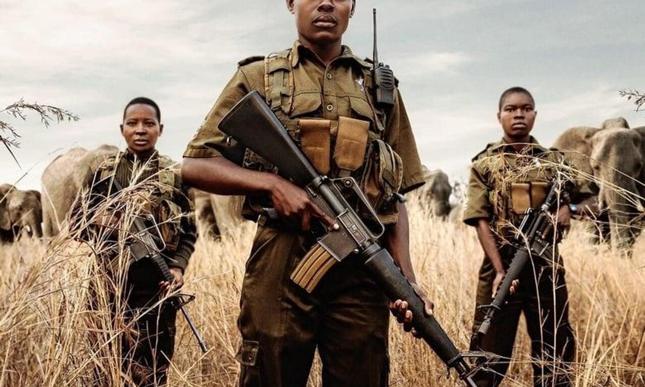 header image for Akashinga: The Brave Ones