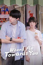 When I Fly Towards You