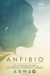 Anfibio